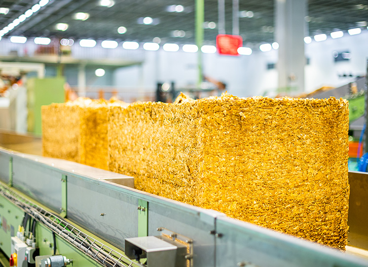 国家局党组召开党组（扩大）会议   认真传达学习贯彻党的二十届四中全会精神